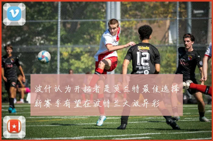 波什认为开拓者是莫兰特最佳选择新赛季有望在波特兰大放异彩