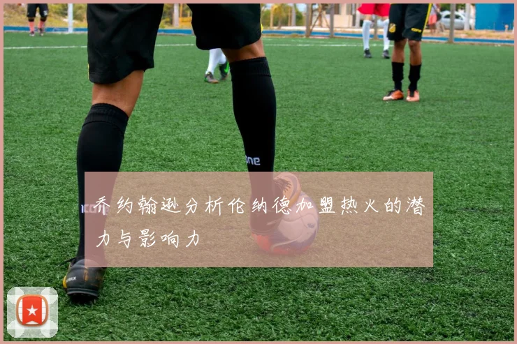 乔约翰逊分析伦纳德加盟热火的潜力与影响力